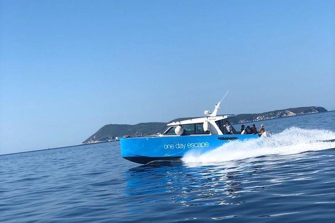 4-Island Split Boat Tour (Brač, Pakleni, Hvar, Šolta) - Price and Value: Is $150.85 a Fair Deal for Four Islands?