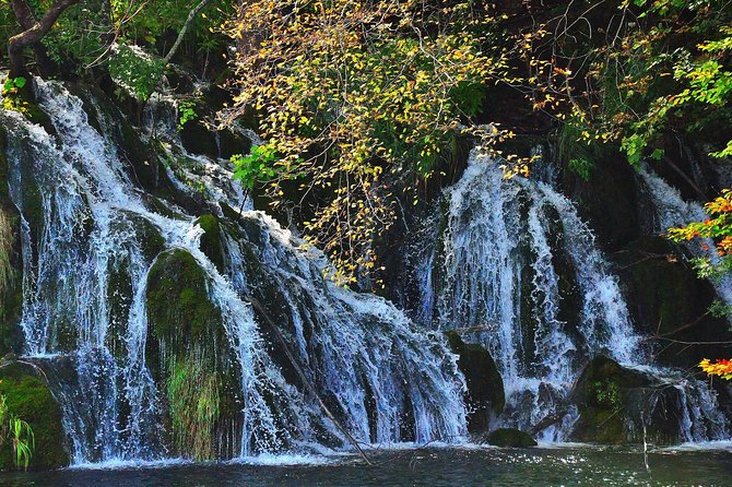 All inclusive luxury daytrip Plitvice Lakes from Split or Trogir - Ranch Deer Valley: Feeding Deer in the Woods and Tasting Farm Food