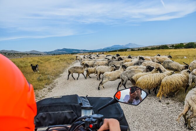 ATV Dinara Mountain tour with picnic - Guides and pacing: what makes the experience feel safe and fun