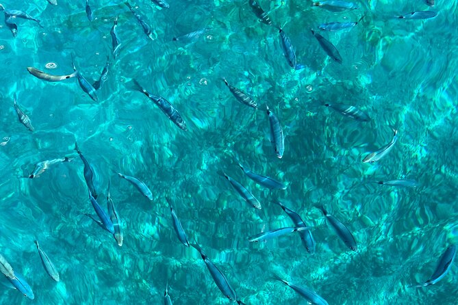 Bespoke private boat tour from Split & Trogir with a local expert - On-board comfort: bottled water, snorkeling gear, and what you’ll actually do at each swim stop