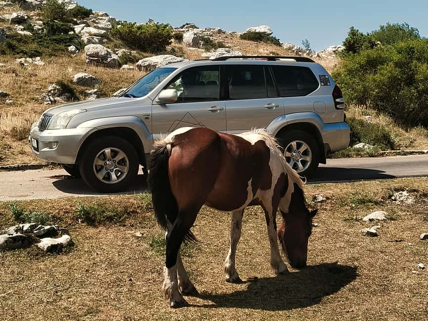 Biokovo 4x4 Adventure: Skywalk (1228 m) & Sinjal (1335 m) - Your Guide Makes the Difference: Local Stories From Darjan