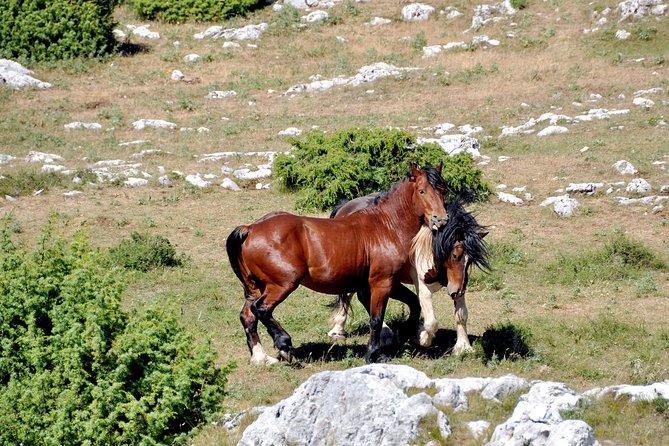Biokovo Skywalk - The Sinjal hike in Dinara: short, doable, and worth the climb