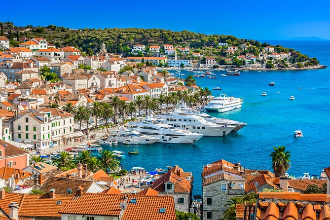 Blue Cave and Hvar 5 Islands Tour from Split - Stop 5: Budikovac Island for Swimming and Snorkeling Time
