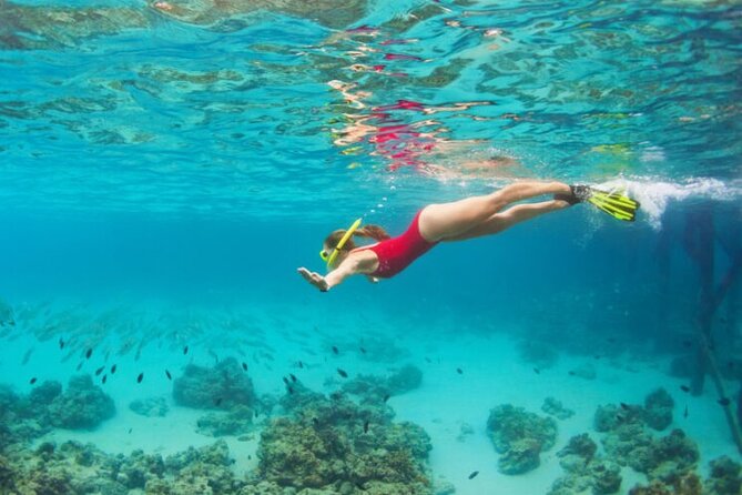 Blue Cave Full-Day Boat Tour with Hvar and 5 Islands - A One-Day “Best of” Route From Split That Actually Makes Sense