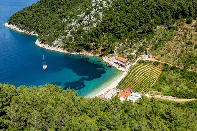 Brac, Hvar, & Solta Day Trip: Snorkeling, Wine & Lunch from Split - A VIP Brac, Hvar, and Solta Day Trip That Actually Feels Relaxing