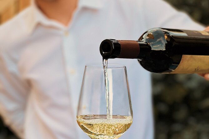 Dalmatian wine tasting by Bottiglia wine & deli - Where to Go: Put Firula 37 and Easy-Mode Logistics