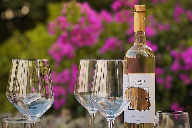 Dalmatian wine tasting by Bottiglia wine & deli - Should You Book Bottiglia’s Dalmatian Wine Tasting?