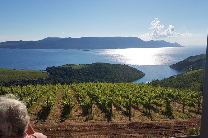 Day Trip to Dubrovnik From Split - Ston oyster stop: short, sweet, and genuinely local