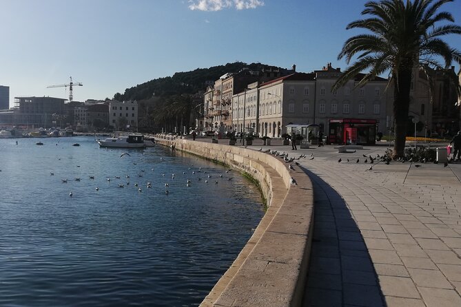 Diocletian's Palace Small Group Tour in Split - What You Gain from the Guide: Local Tips and Names You Might Hear