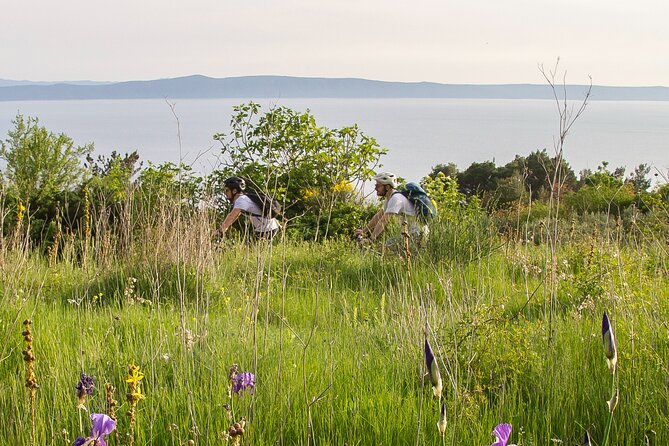 E-Bike Tour at Historical Villages of Makarska - Theme Trail Kotišina: the scenic ride segment you’ll actually remember