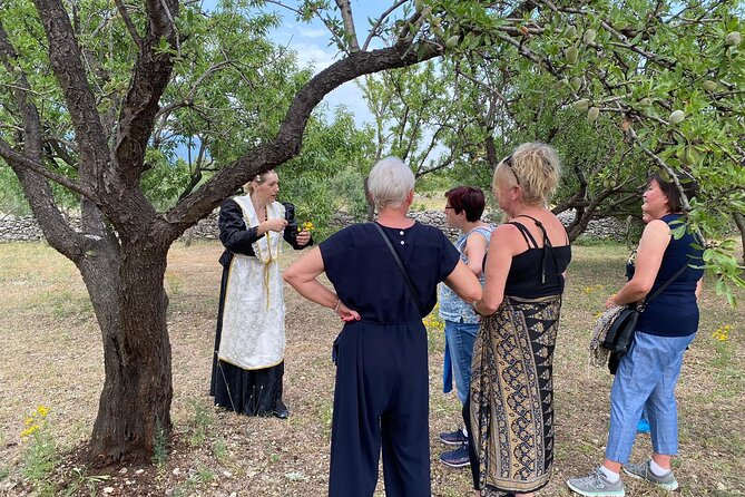 Family-run Vineyard Tour & Award Winning Wine Tasting/Delicacies - The Traditional Moment: Accordion Songs in Local Costume
