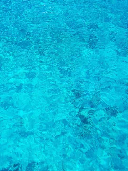 From Hvar: Blue cave group speedboat tour full day - Guides and boat style: what to expect from the crew