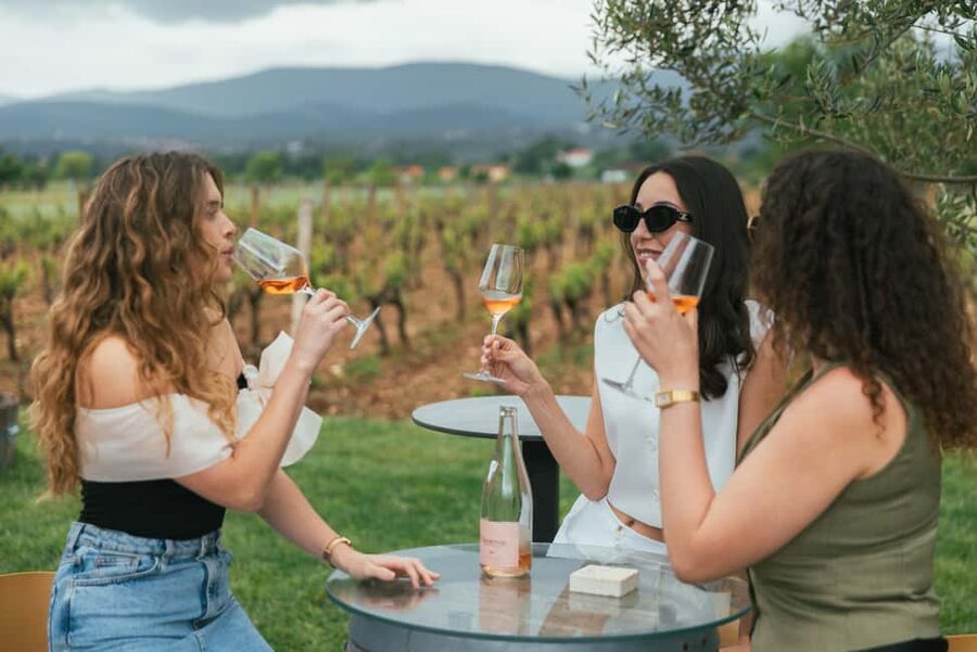 From Makarska Riviera : Wine Tasting Grabovac Tour - Key highlights at a glance