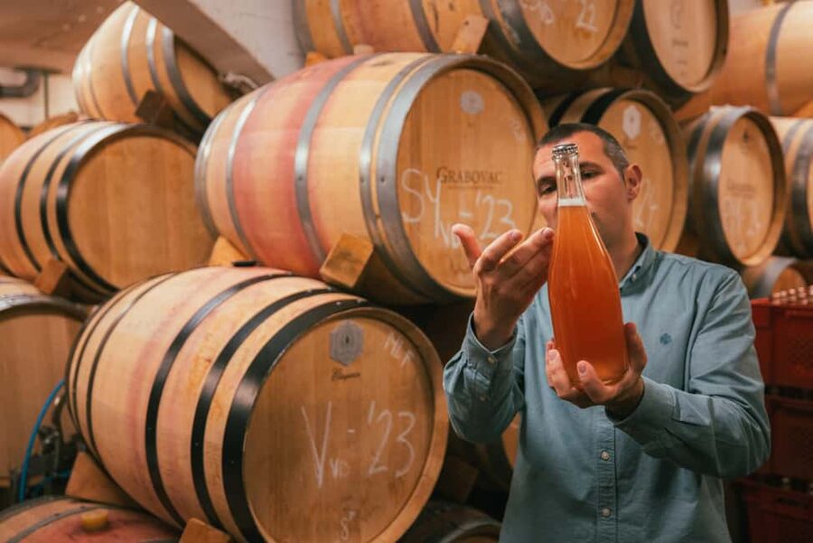 From Makarska Riviera : Wine Tasting Grabovac Tour - A 4–5 hour Dalmatian wine afternoon from Makarska