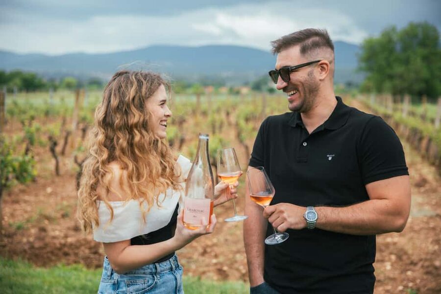 From Makarska Riviera : Wine Tasting Grabovac Tour - Vinarija Grabovac: what the tasting visit is really like