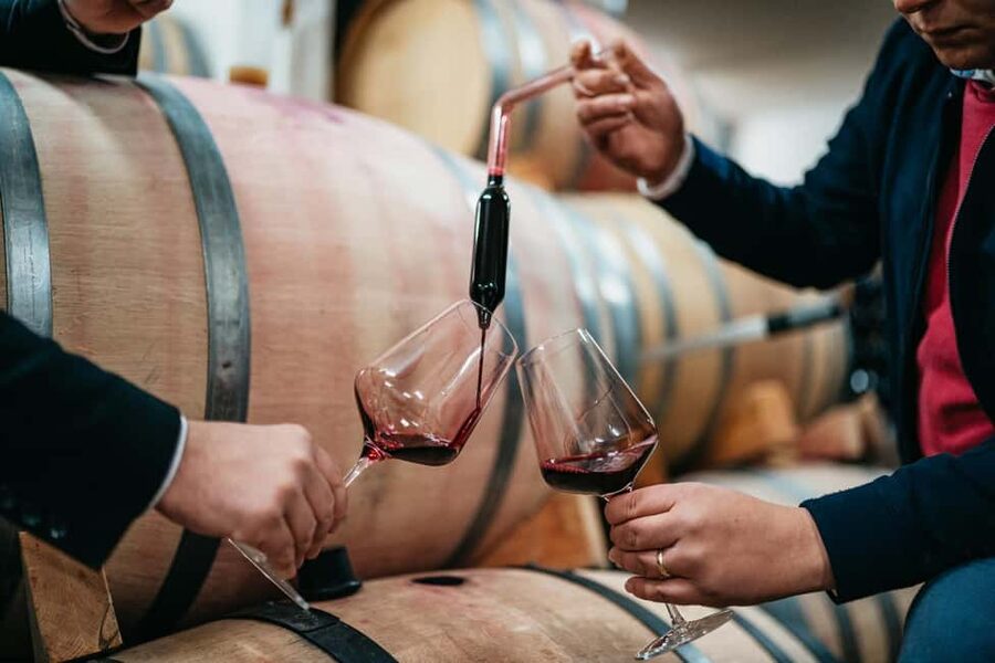 From Makarska Riviera : Wine Tasting Grabovac Tour - After the tasting: vineyards, photo time, and buying bottles with confidence