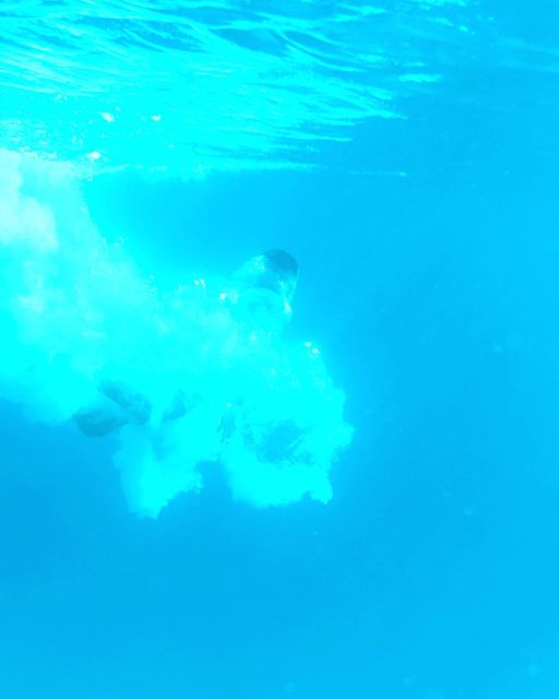 From Split: Blue Lagoon & 2 Islands half-day Private - Price and value: $565 for up to 7, and where that money goes