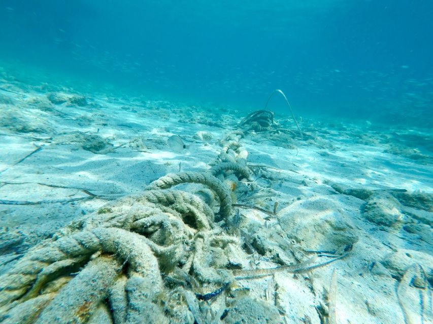 From Split: Blue Lagoon & Trogir Boat Trip with Snorkeling - Price and Value: $836 per Group Up to 10