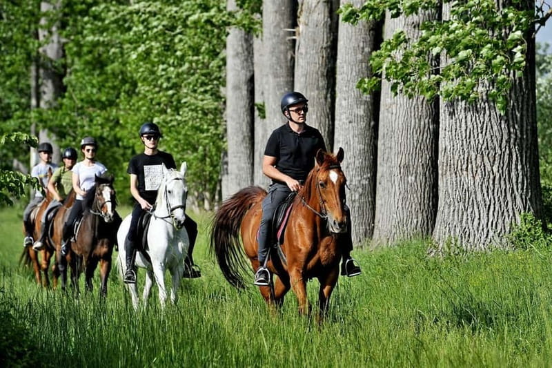 From Split: Full-Day Horse Riding & Quad Biking with Lunch - Photos from the tour: memories without constant screen time