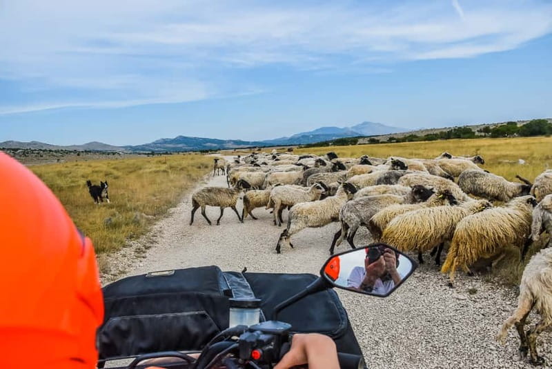 From Split: Full-Day Horse Riding & Quad Biking with Lunch - Meet at Trumbićeva obala 13, then head inland in a small group