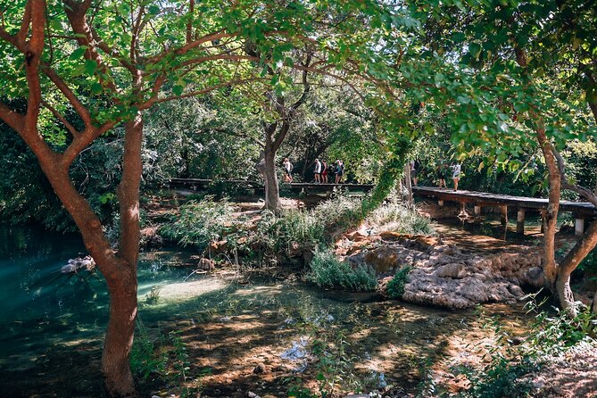 From Split: Krka Waterfalls, Food & Wine Tasting Tour - The Plastovo wine stop: Sladic family winery tastings done right