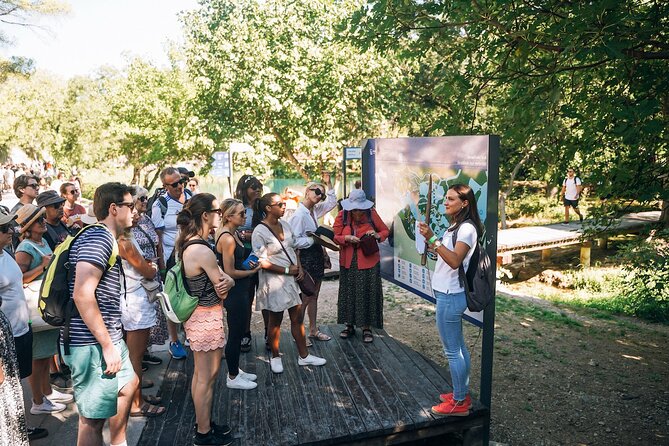 From Split: Krka Waterfalls, Food & Wine Tasting Tour - Timing that works (and where it can feel tight)