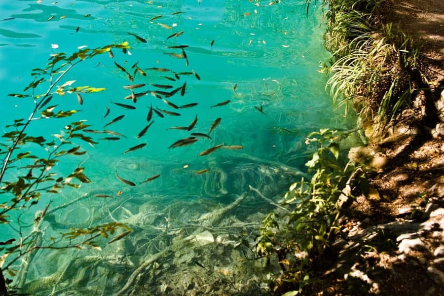 From Split: Krka Waterfalls Tour with Boat Ride & Swimming - Skradin town time: 1.5 hours to wander and choose your swim