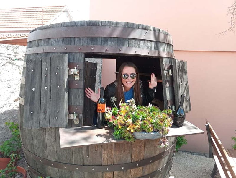 From Split: Krka Waterfalls with Wine & Cheese Tasting Tour - From Split: the coach ride that sets the tone
