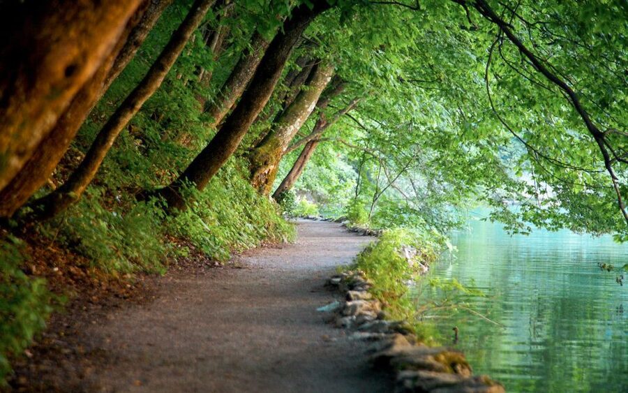 From Split or Trogir: Plitvice Lakes Guided Tour - Getting from Split or Trogir: the ride, the break, the vibe