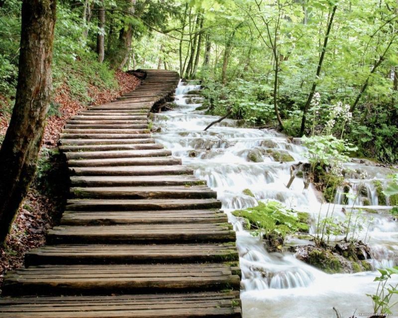 From Split or Trogir: Plitvice Lakes Guided Tour - Arrival at Plitvice: the guided walk on wooden paths