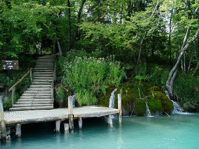 From Split or Trogir: Plitvice Lakes Private Tour - Guides and drivers: why the details can make or break Plitvice