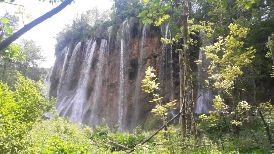From Split or Trogir: Plitvice Lakes Trip with Entry Ticket - Guide quality matters: English explanations can make the park click
