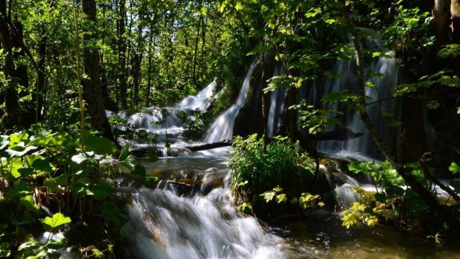 From Split or Trogir: Plitvice Lakes Trip with Entry Ticket - Arrival at Plitvice: the Korana River walk you’ll actually remember