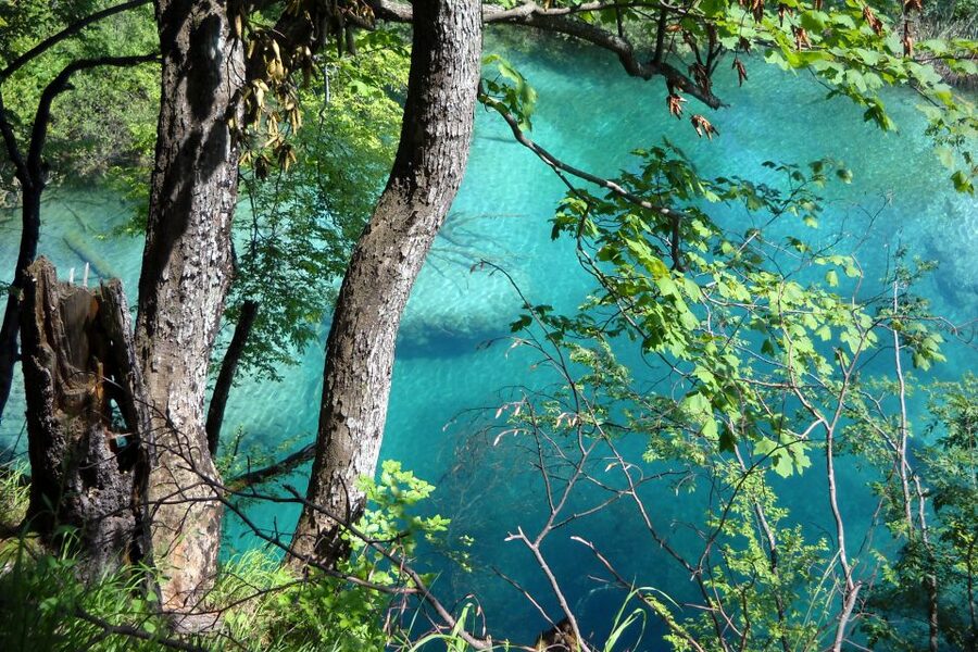 From Split: Plitvice Lakes Fully-Guided Day Tour - Inside Plitvice: Upper Lakes Views and Those Chameleon Colors