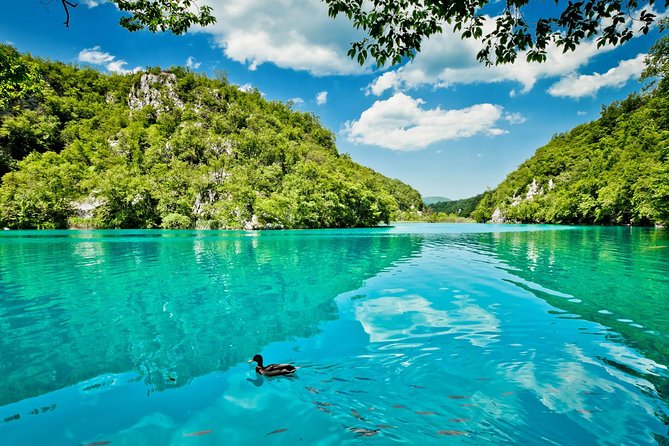 From Split: Plitvice Lakes National Park Guided Tour - The electric train segment: useful when it runs well
