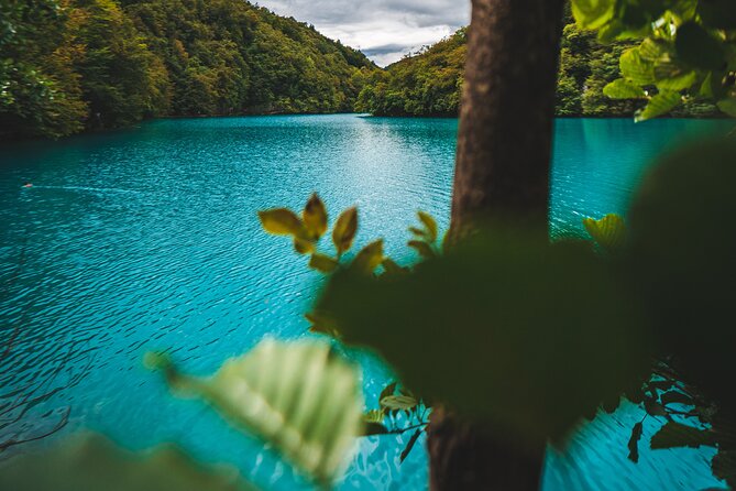 From Split: Plitvice Lakes - Private tour - Stop 3: The Lower Lakes, Sastavci waterfalls, and the Korana spring