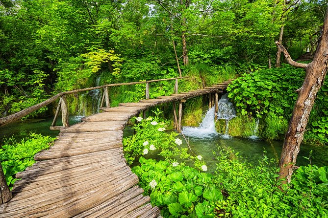 From Split to Zagreb: Plitvice Lakes Private Guided Tour - Who this tour fits best