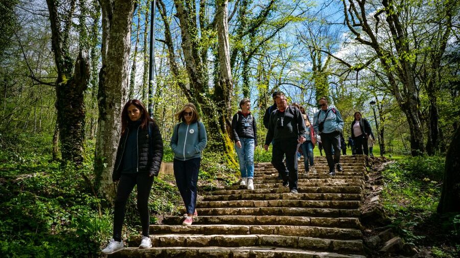From Split/Trogir/Omiš: Plitvice Lakes Guided Group Tour - What About Food? Planning for Meals Without Overpaying