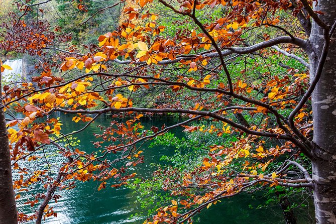 Full-Day Private Plitvice Lakes National Park Tour from Split - Plitvice Lakes National Park: Your 4-hour window and how to use it
