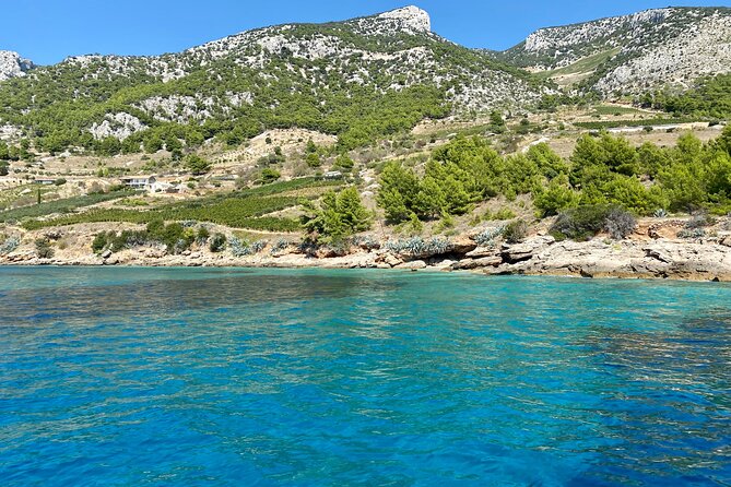 Full-Day PRIVATE Tour to ZLATNI RAT & HVAR - Zlatni Rat Beach on Brač: The Golden Horn in Motion