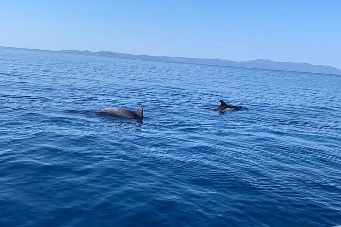 Fully customized private boat trip from Trogir and Split - What’s included (and what you’ll want to handle yourself)