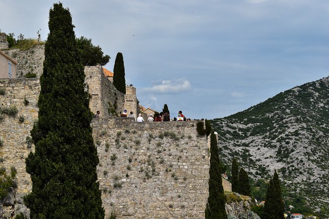 Green Line Hop-On Hop-Off - Dalmatia Nature Tour - Diocletian’s Palace Substructures: The Free Guided Walking Piece That’s Easy to Miss