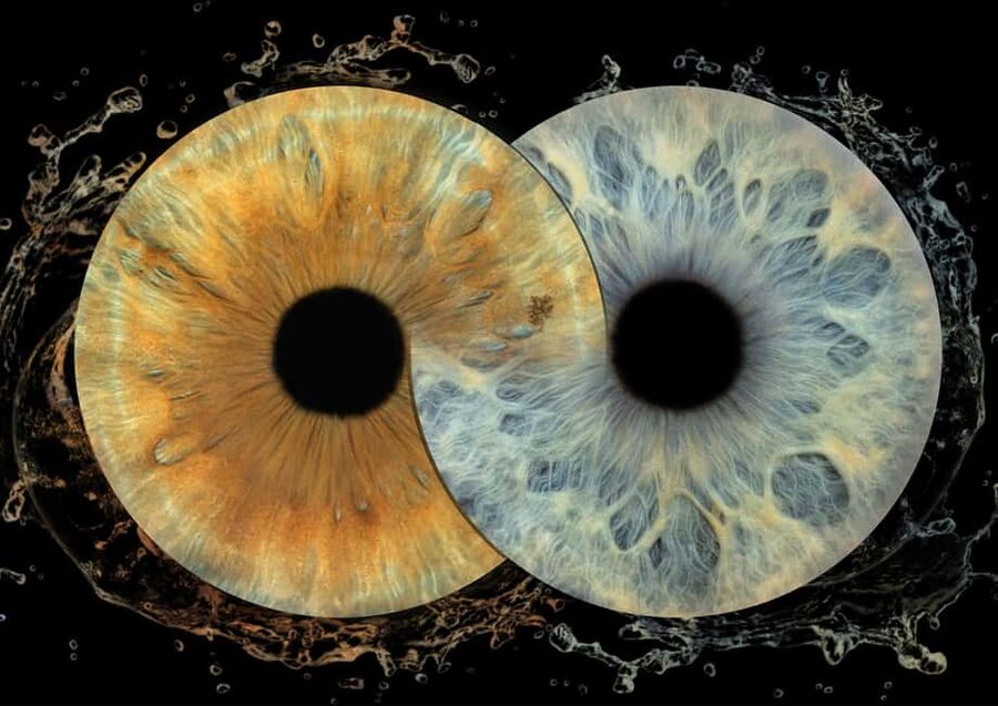 IRIS Photography (macro photo of your eye) - Key points before you book
