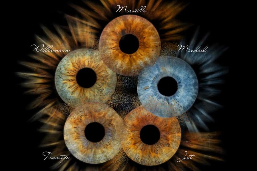 IRIS Photography (macro photo of your eye) - Iris macro photography: what makes your eye one-of-a-kind