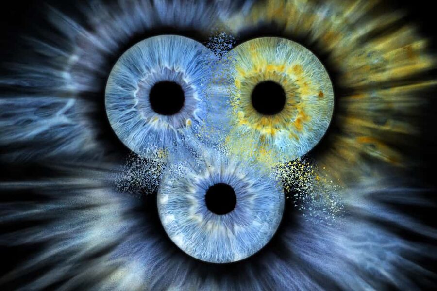 IRIS Photography (macro photo of your eye) - The 10-minute studio session: what happens during your photo time