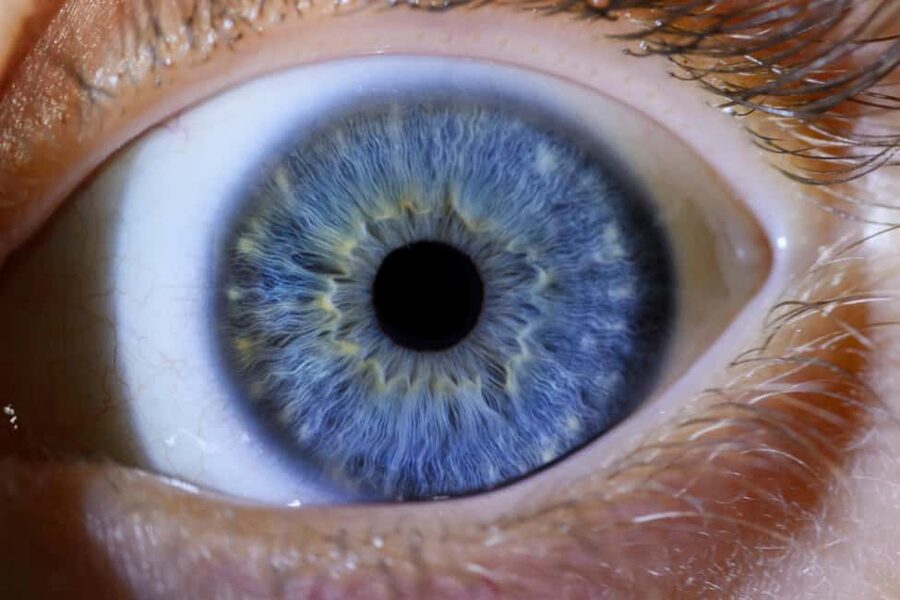IRIS Photography (macro photo of your eye) - Should you book this iris macro photo session?