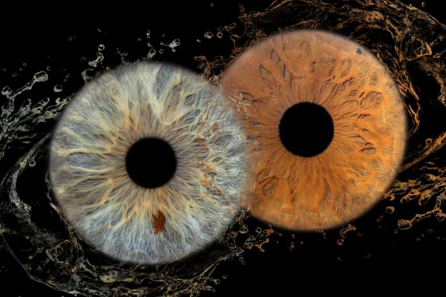 IRIS Photography (macro photo of your eye) - Finding Split Photo Agency near Riva in central Split