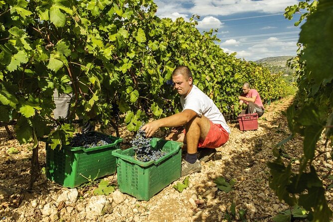 Krka Waterfalls & Dalmatian delights from Split or Trogir - Value for the price: what you’re really paying for
