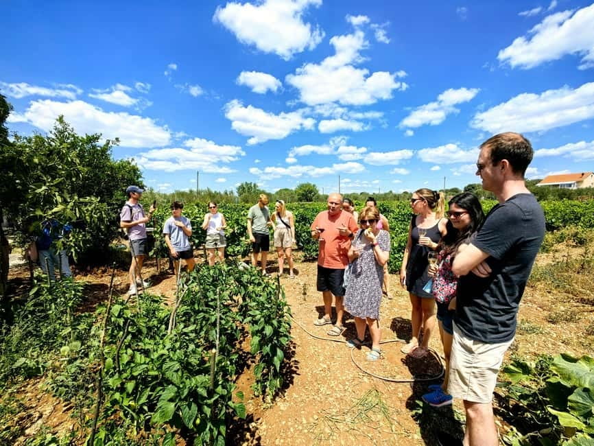 Krka waterfalls tour with lunch from Split - The Included Lunch and Wine Stop: Farm to Table, Not Just a Meal