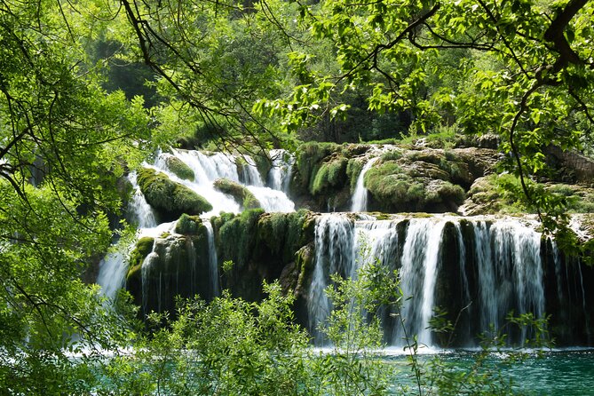Krka Waterfalls Tour with Wine and Olive Oil Tasting - Price and park entrance fees: what you’re really paying